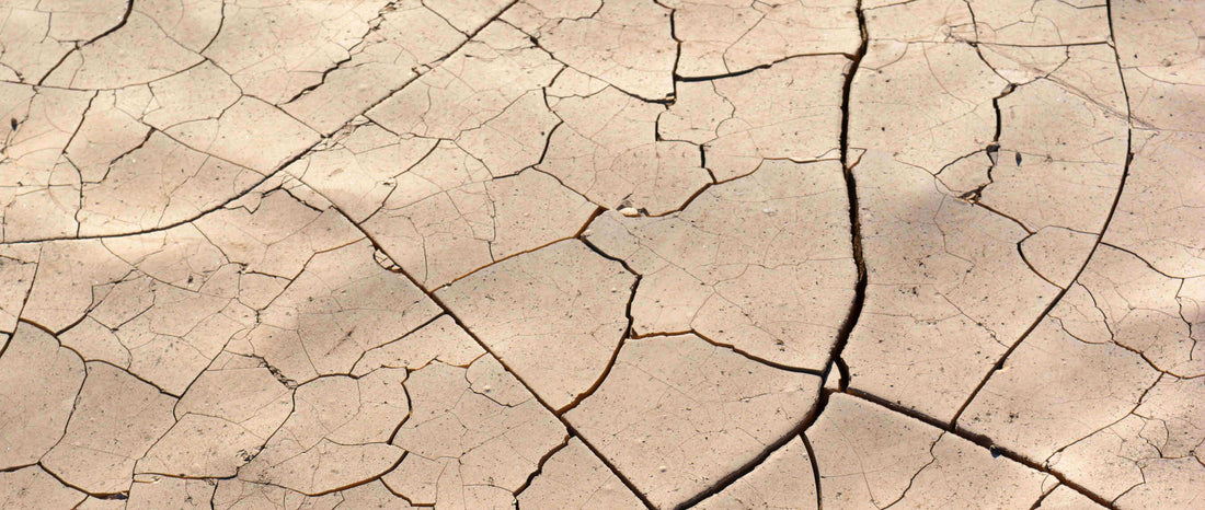 Dermatite - Cause, sintomi e approcci terapeutici