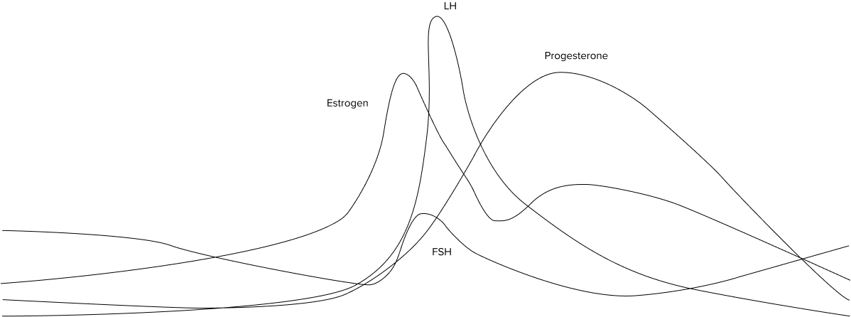Grapgh